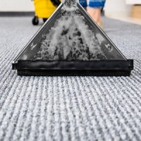 ABC Rug & Carpet Cleaning Vienna