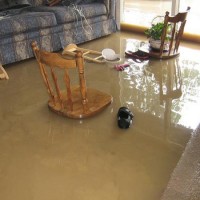 Water Damage Restoration Arlington