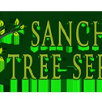 Sanchez Tree Service LLC