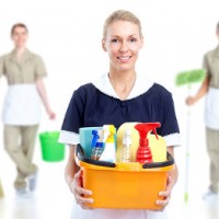 Trusted Cleaner - Cleaning Business