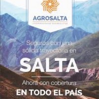 AGROSALTA COOPERATIVA DE SEGUROS LTDA