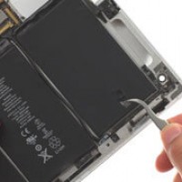 Gallery thumbnail
