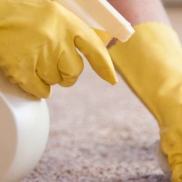 Sparkle Cleaning Services Melbourne