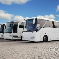 GOGO Bus Hire Sydney