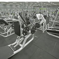 Gallery thumbnail