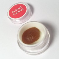 Gallery thumbnail