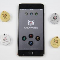 Gallery thumbnail