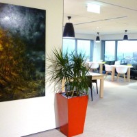 Gallery thumbnail