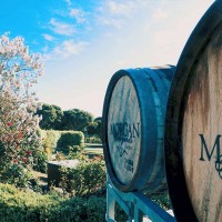 Yarra Valley Winery Tours from Melbourne