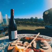 Yarra Valley Winery Tours from Melbourne