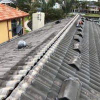 Liquid Edge Roofing