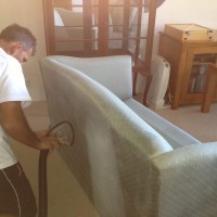 Organic Carpet Cleaning Sydney