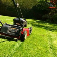 Gardeners Perth – Jim s Mowing & Gardening