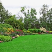 Gardeners Perth – Jim s Mowing & Gardening