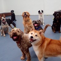 Gallery thumbnail