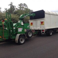 Affordable Tree Services Northern Beaches