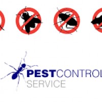 Pest Control Cooranbong