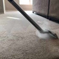 Professional Carpet Cleaning Brisbane