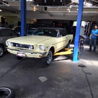 Gallery thumbnail
