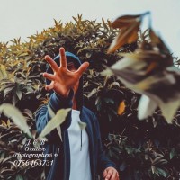 Gallery thumbnail