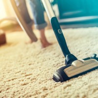 Carpet Cleaning Elwood