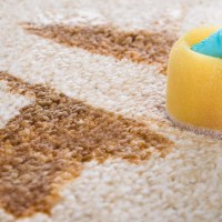 Perth Carpet Cleaning