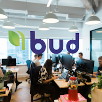 Bud Agency