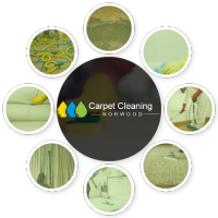 Carpet Cleaning Norwood