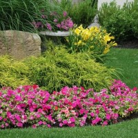 Andersons Professional Landscapes