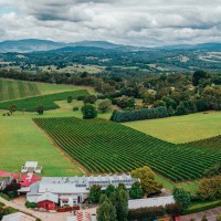 Melbourne Winery Tours to Yarra Valley