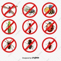 Professional Pest Control Brisbane