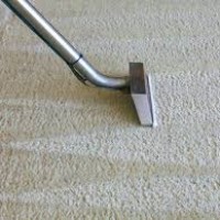 Professional Carpet Cleaning Sydney