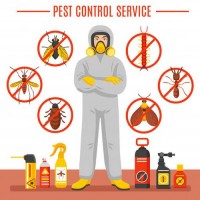 Pest Control Harristown