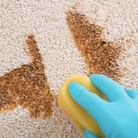 Spark Rug Cleaning Sydney