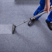 Ripple Carpet Cleaning Sydney