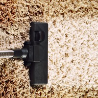 Indo Carpet Cleaning Adelaide