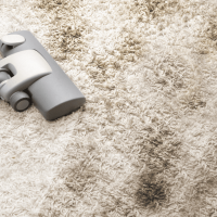 Indo Carpet Cleaning Adelaide