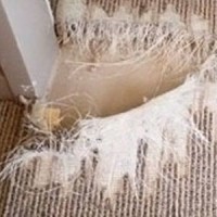 Rug Cleaning Richmond