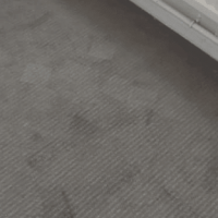 Carpet Steam Cleaning Mornington