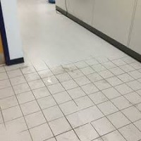 Tile and Grout Cleaning Sydney