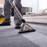 Professional Carpet Cleaning Sydney