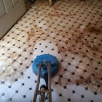 Tile and Grout Cleaning Sydney