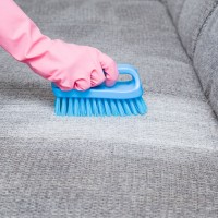 Professional Couch Cleaning Sydney