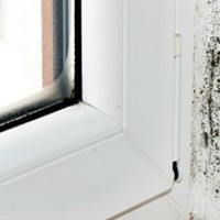 Black Mold Removal Inc