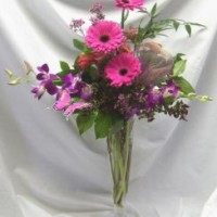 Gallery thumbnail