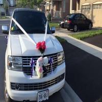 Burlington Airport Limousine