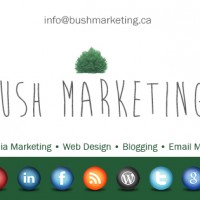 Bush Marketing