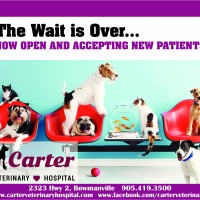 Carter Veterinary Hospital