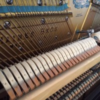 Vancouver Piano Tuner