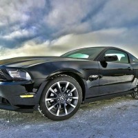 Gallery thumbnail